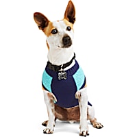 YOULY Navy/Teal Dog Sweater
