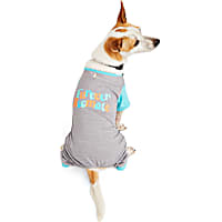 YOULY Furever Roomate Dog Pajama