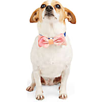 YOULY Floral/Tiedye Dog Bowtie Set
