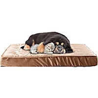 Pet Adobe Egg Crate Memory Foam Pet Bed