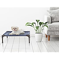 Pet Adobe Blue Elevated Pet Bed