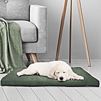 Pet Adobe Forest Foam Pet Bed
