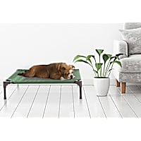 Pet Adobe Green Cot-Style Elevated Pet Bed