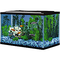 Tetra Open Glass 5 Gallon Rectangular Fish Aquarium Tank