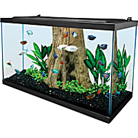 Tetra Glass 29 Gallon Rectangular Shippable Open Stock Fish Aquarium Tank