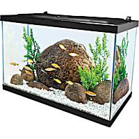 Tetra Open Glass 20 Gallon Rectangular Fish Aquarium Tank