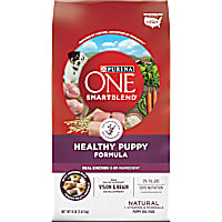 Purina ONE SmartBlend Natural Healthy Formula Dry Puppy Food