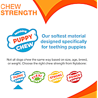 Nylabone Puppy Chew Teething Pacifier