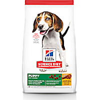 Hill's Science Diet Chicken & Brown Rice Recipe Dry Puppy Food