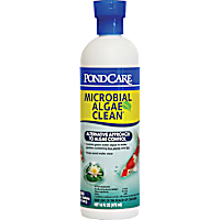 PondCare Microbial Algae Clean Pond Algae Remover