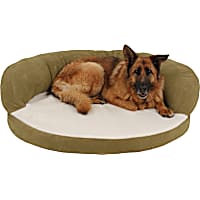 Carolina Pet Company Sage Green Orthopedic Bolster Personalized Dog Bed