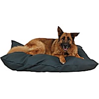 Carolina Pet Company Green Indoor Outdoor Shebang Dog Bed