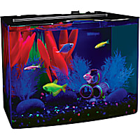 GloFish Crescent Hidden Blue LED Light and Internal Filter Aquarium Kit 3 Gallons