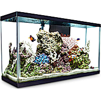 Aqueon Standard Glass Aquarium Tank 29 Gallon