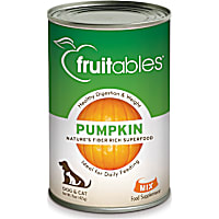 Fruitables Pet Pumpkin