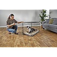 EveryYay Going Places 1-Door Folding Dog Crate