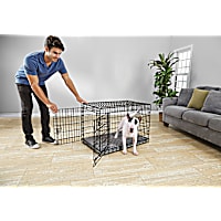 EveryYay Going Places Ultra Tough 2-Door Folding Dog Crate