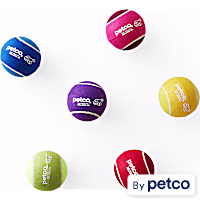 Petco Jumbo Tennis Ball Dog Toy in Assorted Colors