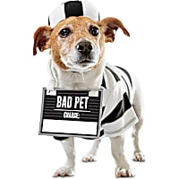 Bootique Crooked Cutie Prisoner Pet Costume