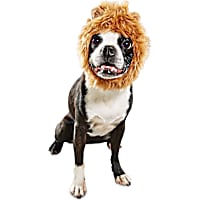 Bootique Mane Reign Lion Pet Headpiece