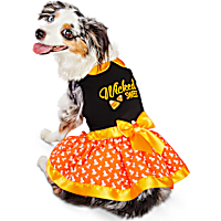 Bootique Wildly Wicked Pet Dress