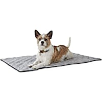 Reddy Black Dog Throw