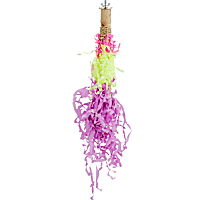 You & Me Foraging Tiki Bird Perch