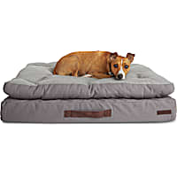 Reddy Grey Double-Pillowtop Lounger Orthopedic Dog Bed