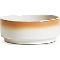 EveryYay Dining In Ombre Ceramic Dog Bowl