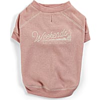 YOULY The Happy-Go-Lucky Coral Weekends Crewneck Dog Sweater