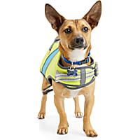 YOULY The Beach Bum Ultimate Dog Flotation Vest