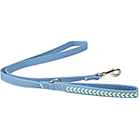 YOULY The Extrovert Blue & Rainbow Braided Dog Leash