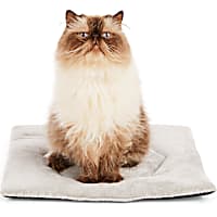 EveryYay Gray Snooze Fest Cozy Cat Mat