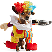 Bootique Ghost Town Clown Pet Illusion Costume