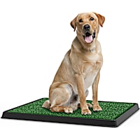 Pet Adobe Artificial Grass Potty Trainer Mat for Dogs