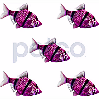 Galactic Purple Tiger Barb