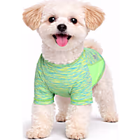 Pet Life Green Active 'Warf Speed' Heathered Ultra-Stretch Sporty Performance Dog T-Shirt