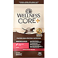 Wellness CORE Digestive Health Salmon & Rice Dry Cat Food