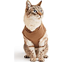 YOULY Cat Quilted Hoodie