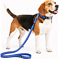 Pet Life Blue 'Advent' Outdoor Series 3M Reflective 2-in-1 Durable Martingale Training Dog Leash and Collar
