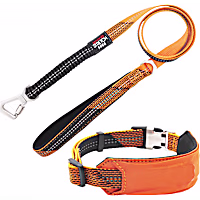 Pet Life Orange 'Geo-prene' 2-in-1 Shock Absorbing Neoprene Padded Reflective Dog Leash and Collar
