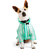 YOULY Green/Yellow Dog Jacket