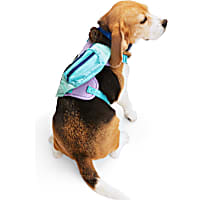 YOULY Purple/Green Fanny Dog Harness