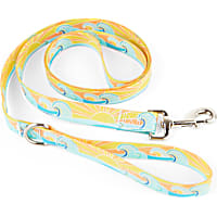 YOULY SunSet for Dogs Wipeable Dog Leash