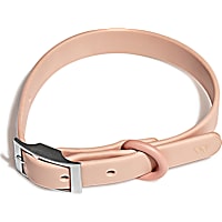 Wild One Blush Dog Collar