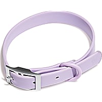 Wild One Lilac Dog Collar