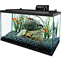 Tetra Open Glass 10 Gallon Rectangular Fish Aquarium Tank