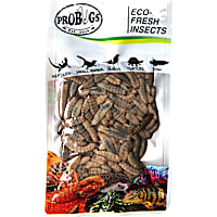 Pro Bugs Repashy Eco-Fresh Black Soldier Fly Larvae