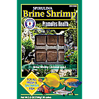 Frozen Spirulina Brine Shrimp