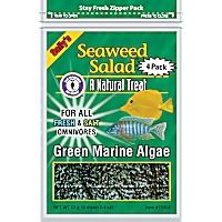 San Francisco Bay Brand Seaweed Salad Green